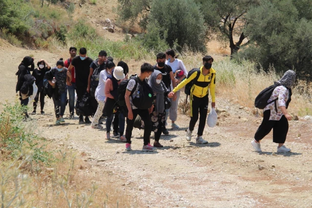 Ormanlık alanda 74 düzensiz göçmen yakalandı