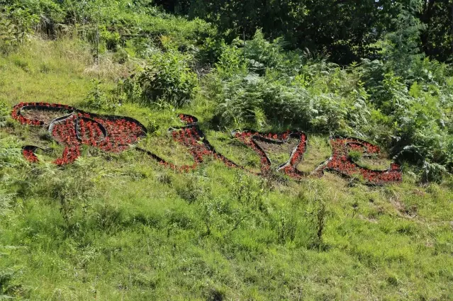 Rize'de cadde ve sokaklar 200 bin çiçekle renklenecek