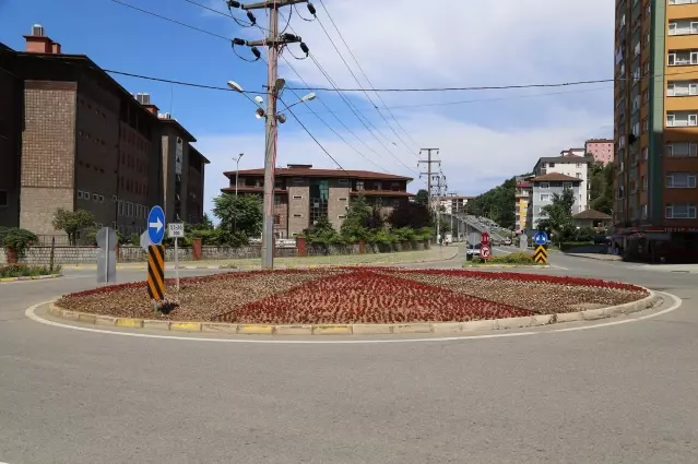 Rize'de cadde ve sokaklar 200 bin çiçekle renklenecek