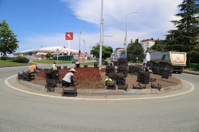 Rize'de cadde ve sokaklar 200 bin çiçekle renklenecek