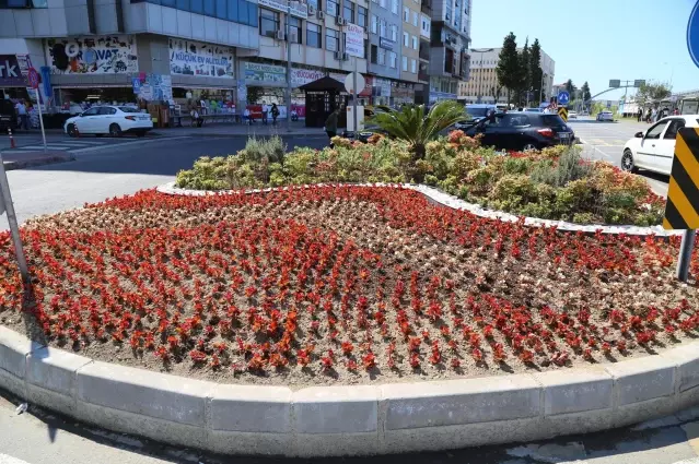 Rize'de cadde ve sokaklar 200 bin çiçekle renklenecek