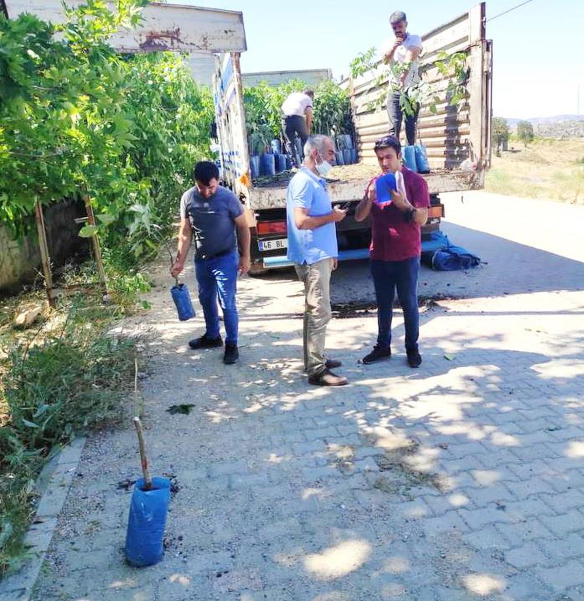 Adıyaman\'da çiftçilere ceviz fidanı dağıtıldı