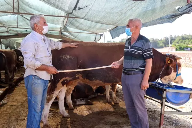 Buca Belediyesi ekipleri kurbanlık denetimi için sahaya indi