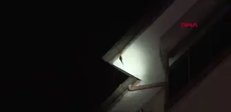 Çatıda asılı kalan ebabili itfaiye kurtardı