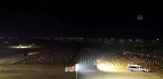 Son dakika haber! Endonezya'da Kovid-19 nedeniyle hayatını kaybedenlerin cenazeleri defnedildi