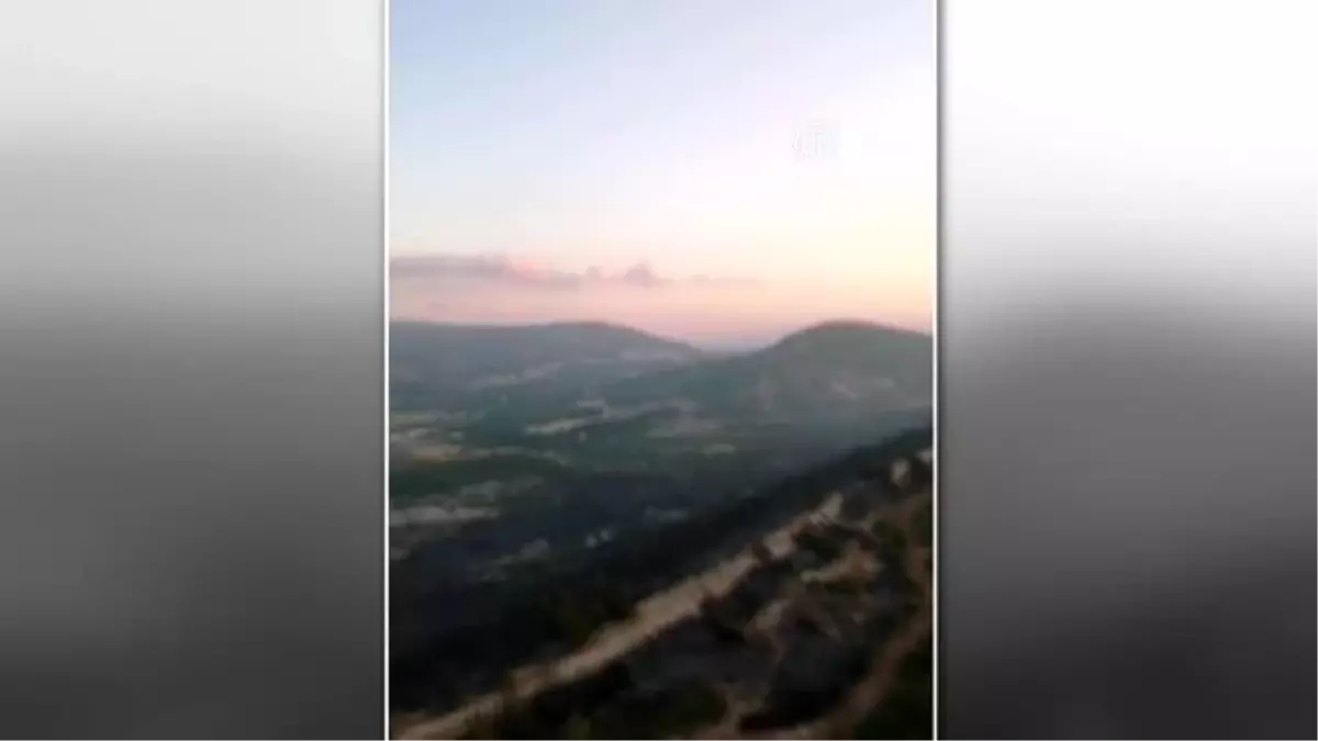 Son Dakika | Foça\'da çıkan orman yangını kontrol altına alındı