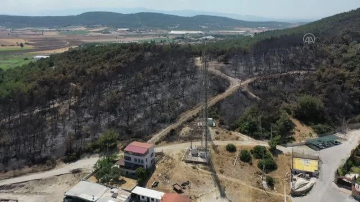 Son dakika haberi! Foça\'daki orman yangınının oluşturduğu hasar havadan görüntülendi