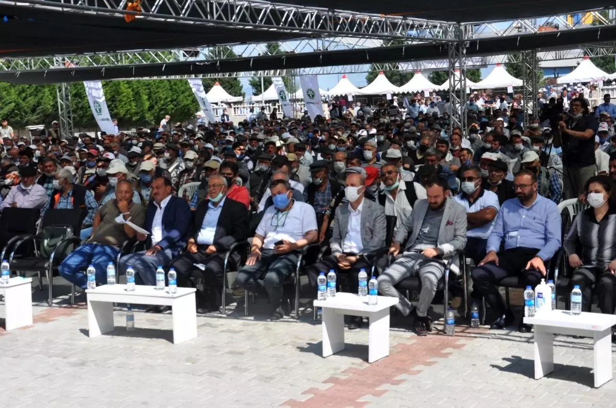 Afyon Pancar Ekicileri Kooperatifi\'nde seçim günü