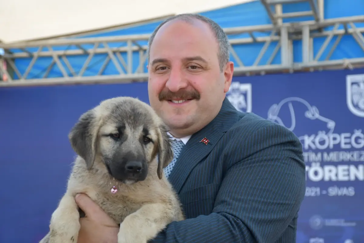 Son dakika haberi... Bakan Varank, Sivas kangal köpeğinin ırkını koruyacak merkezin açılışını yaptı