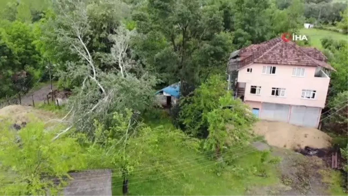 İki kardeşin fıkra gibi arazi kavgası! 92 yaşındaki babaları dikenli tellerden atlayıp eve giriyor