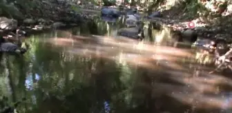 Manyas'ta derelerde kirliliğin önü alınamıyor