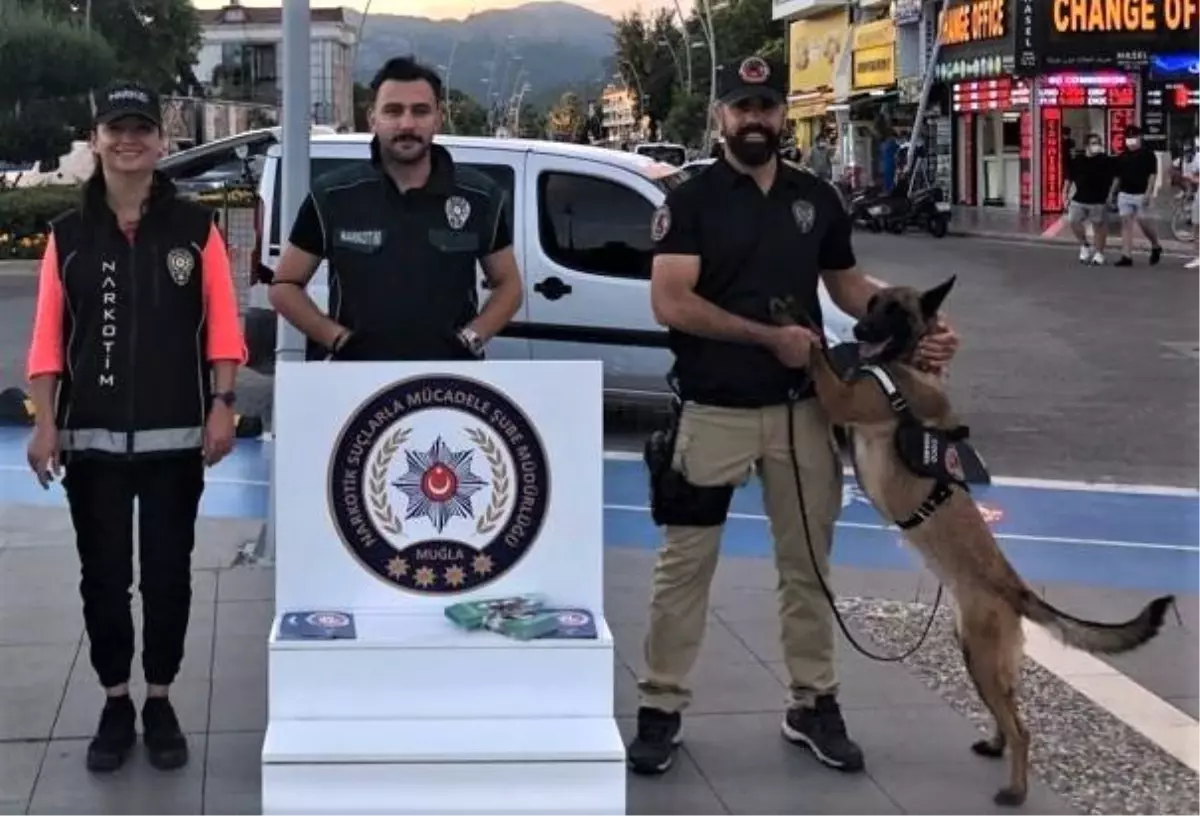 Narkotik köpeği \'Coco\' Haziran ayının \'en başarılısı\' oldu