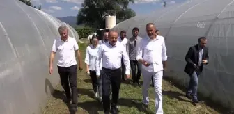 Tarım ve Orman Bakan Yardımcısı Metin'den ata tohumlarının bakanlığa ulaştırılması çağrısı