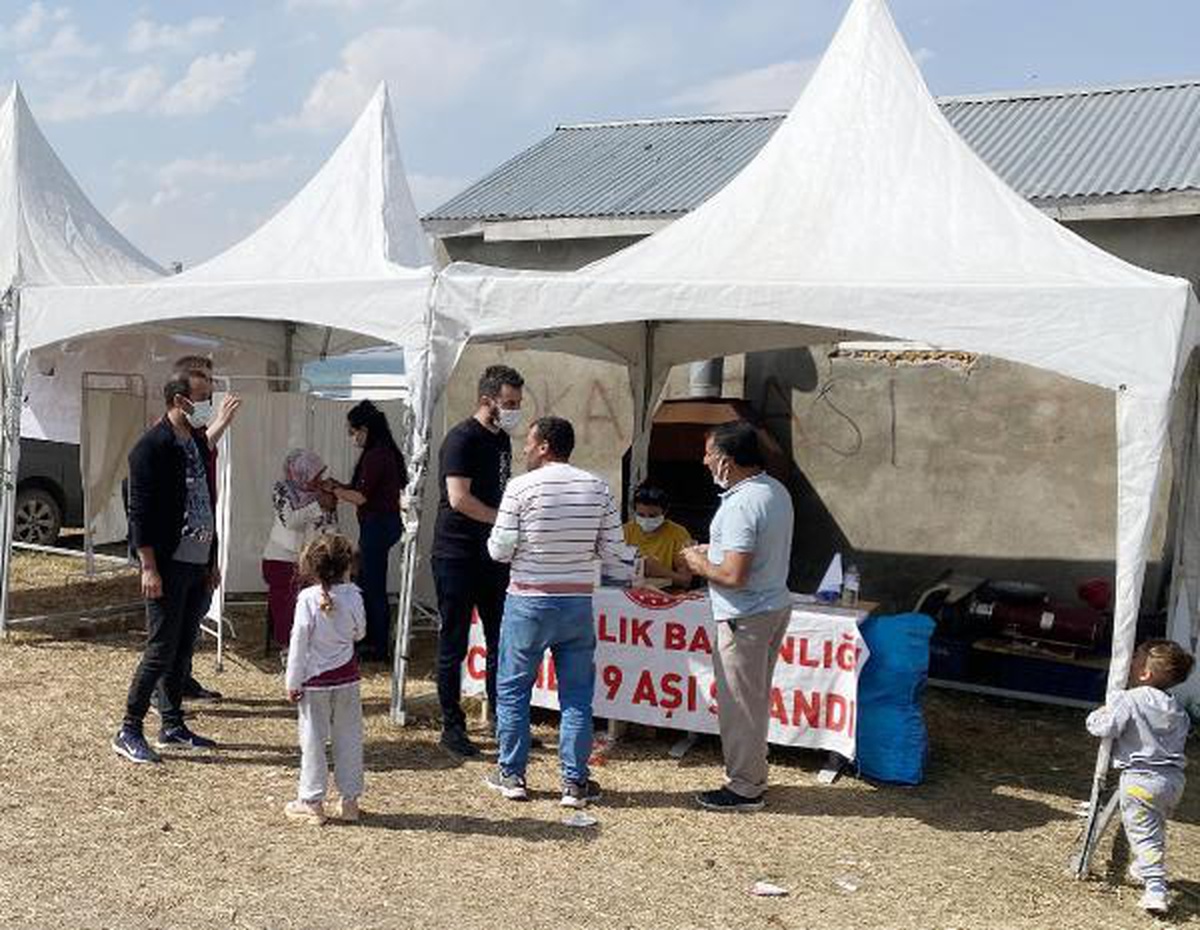 Ağrı\'da, ikinci Balık Gölü Festivali; aşı standı da kuruldu (2)