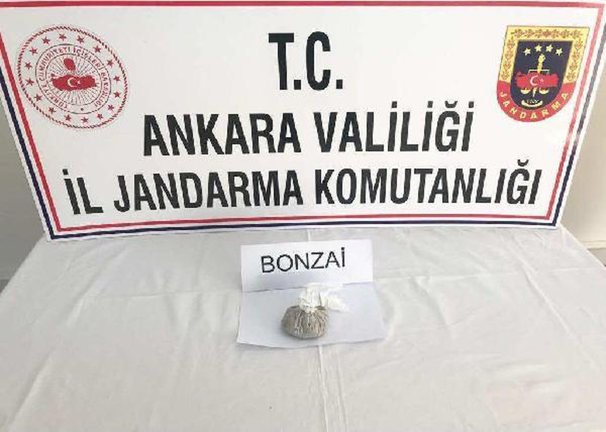 Son dakika gündem: Ankara\'da jandarmadan narkotik uygulaması; 12 gözaltı