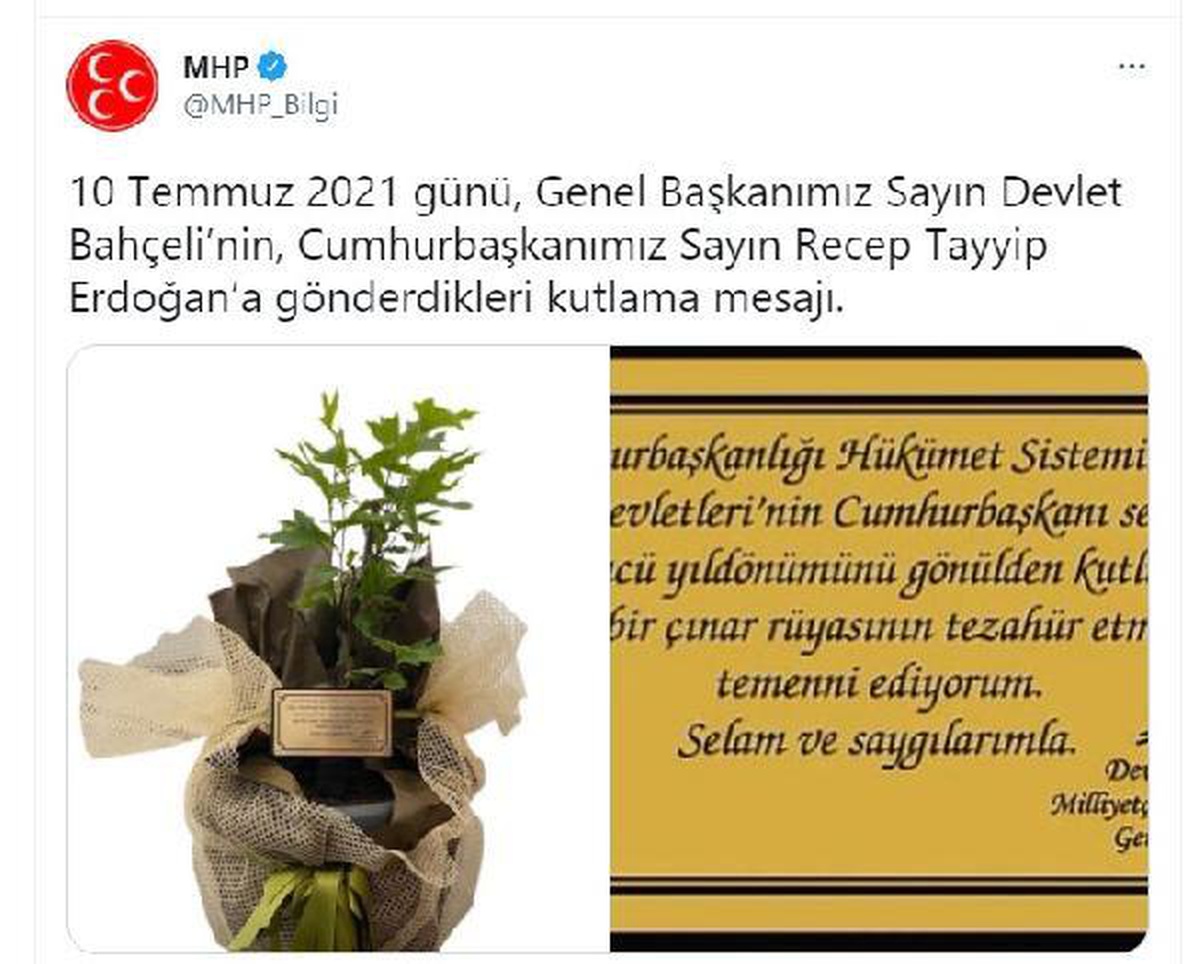 Bahçeli, Cumhurbaşkanı Erdoğan\'a çınar fidanı hediye etti