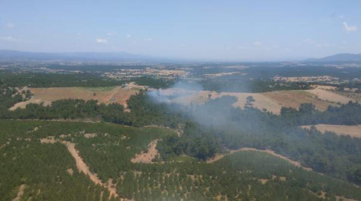 Çanakkale\'de orman yangını