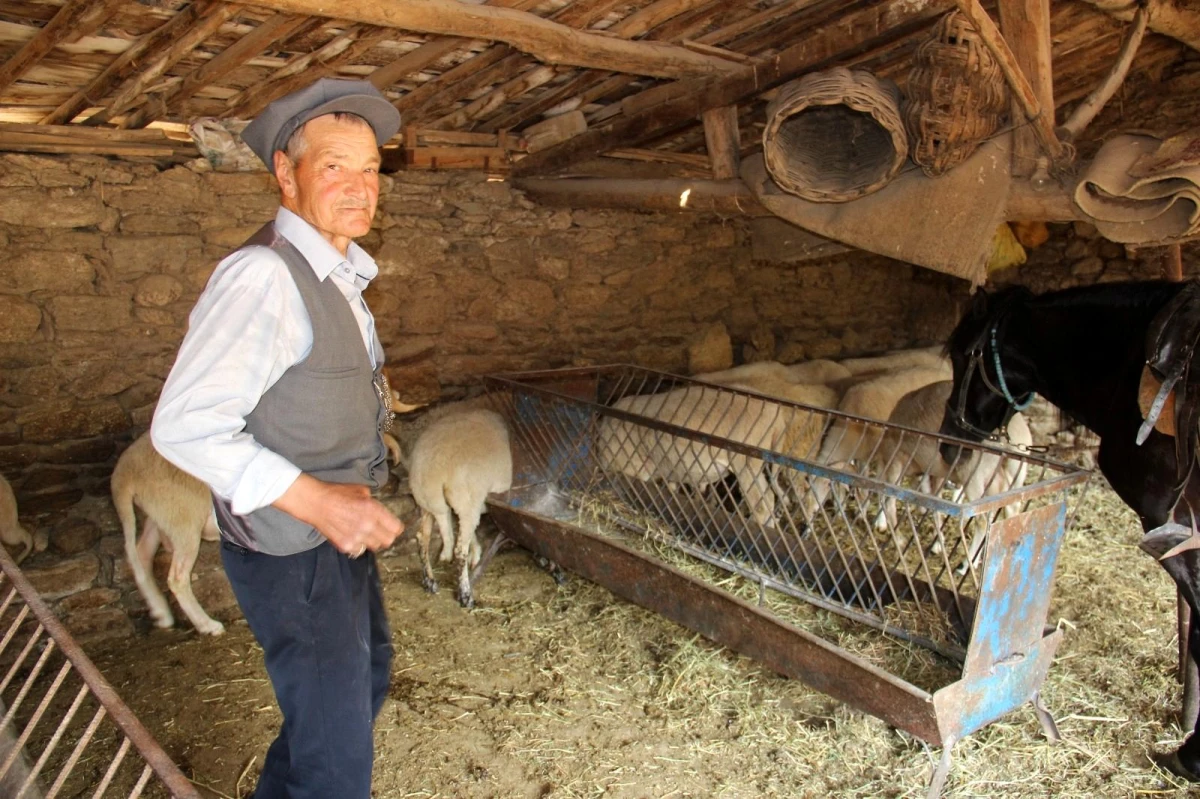 Efeler diyarının son Yörüğü atından ve koyunlarından vazgeçemiyor