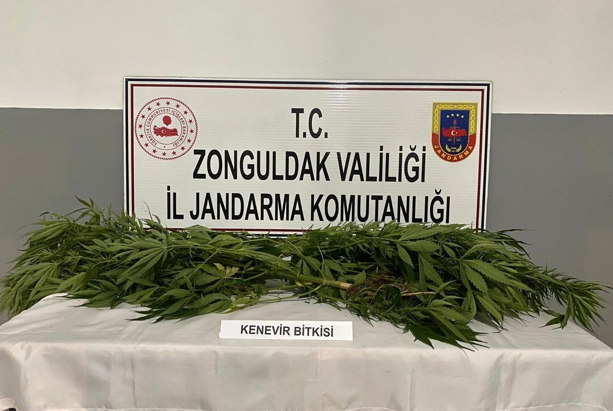 Jandarmadan uyuşturucu operasyonu: 2 gözaltı