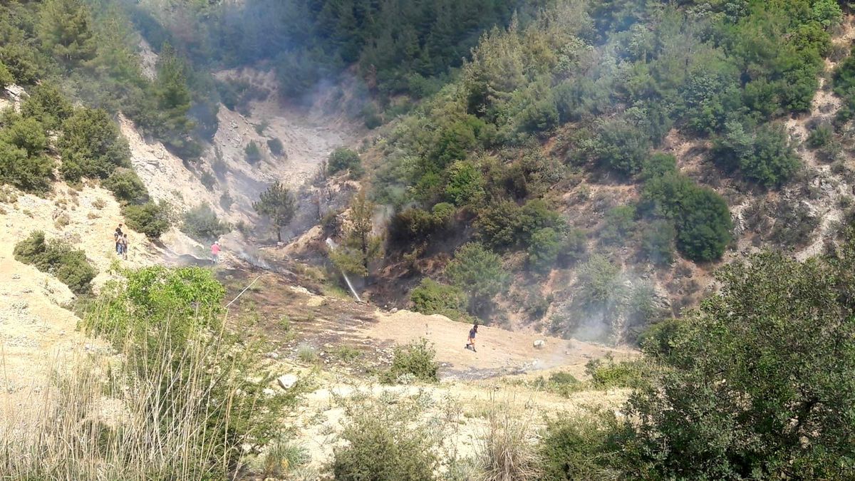 Son Dakika | Orman yangını vatandaşların desteğiyle kısa sürede söndürüldü