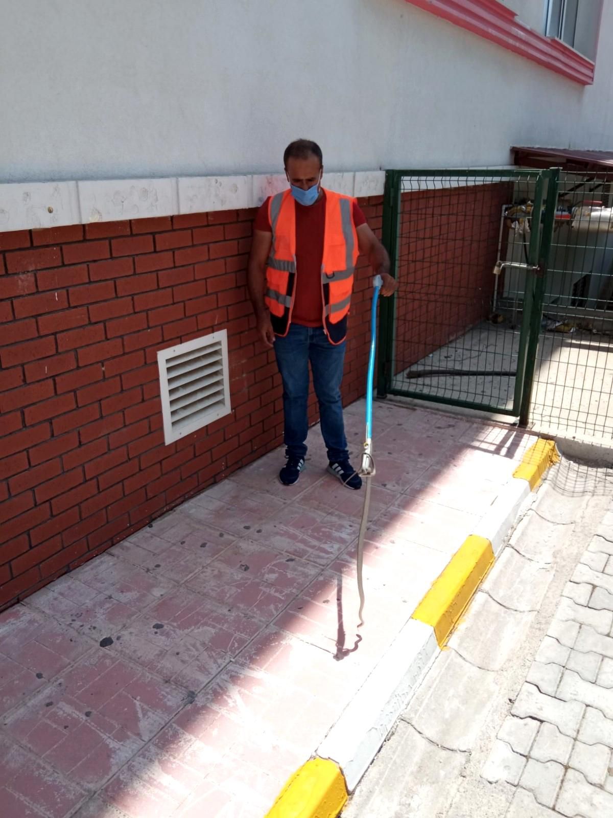 Siirt\'te bir okulda yakalanan yılan doğal ortamına bırakıldı