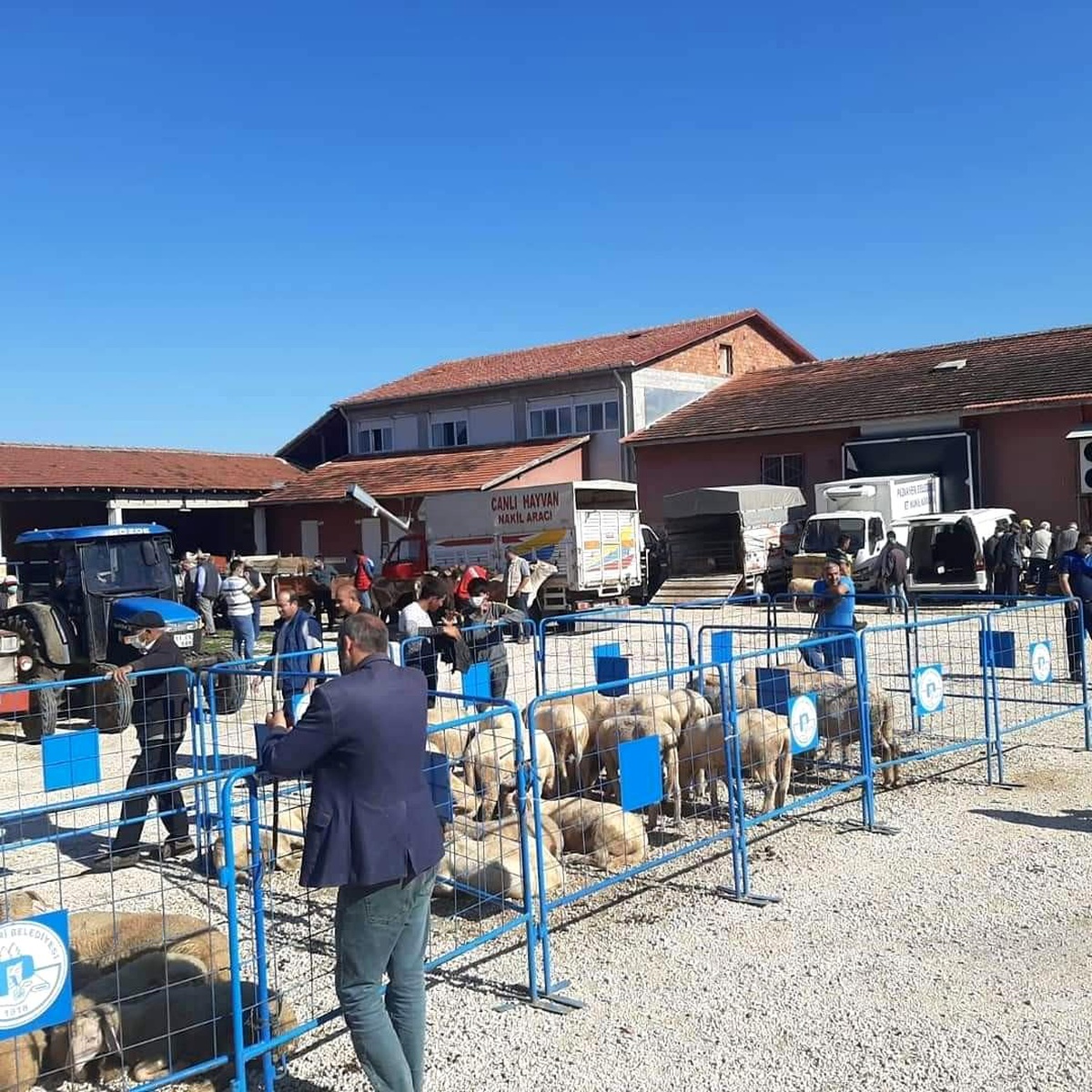 Zabıtadan hayvan pazarında kurban satış denetimi