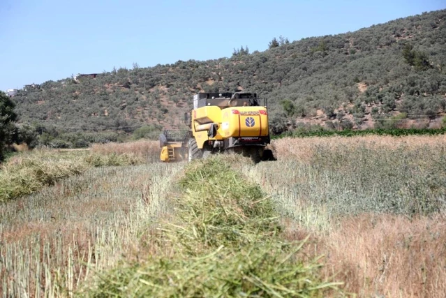 Bodrum Belediyesi, akaryakıtını kendi üretiyor