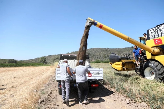 Bodrum Belediyesi, akaryakıtını kendi üretiyor