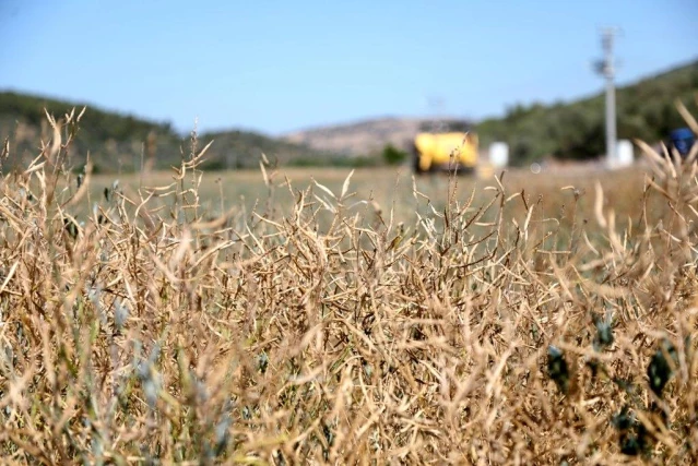 Bodrum Belediyesi, akaryakıtını kendi üretiyor