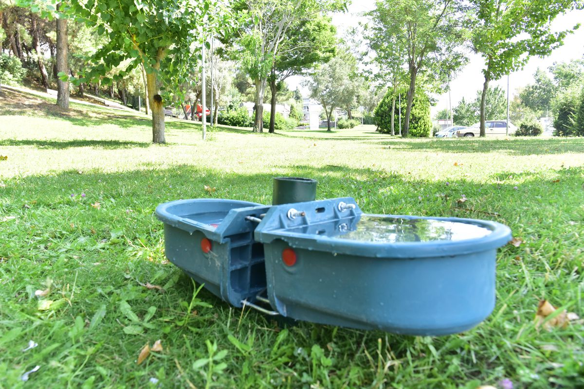 Bornova Parklarına suluk