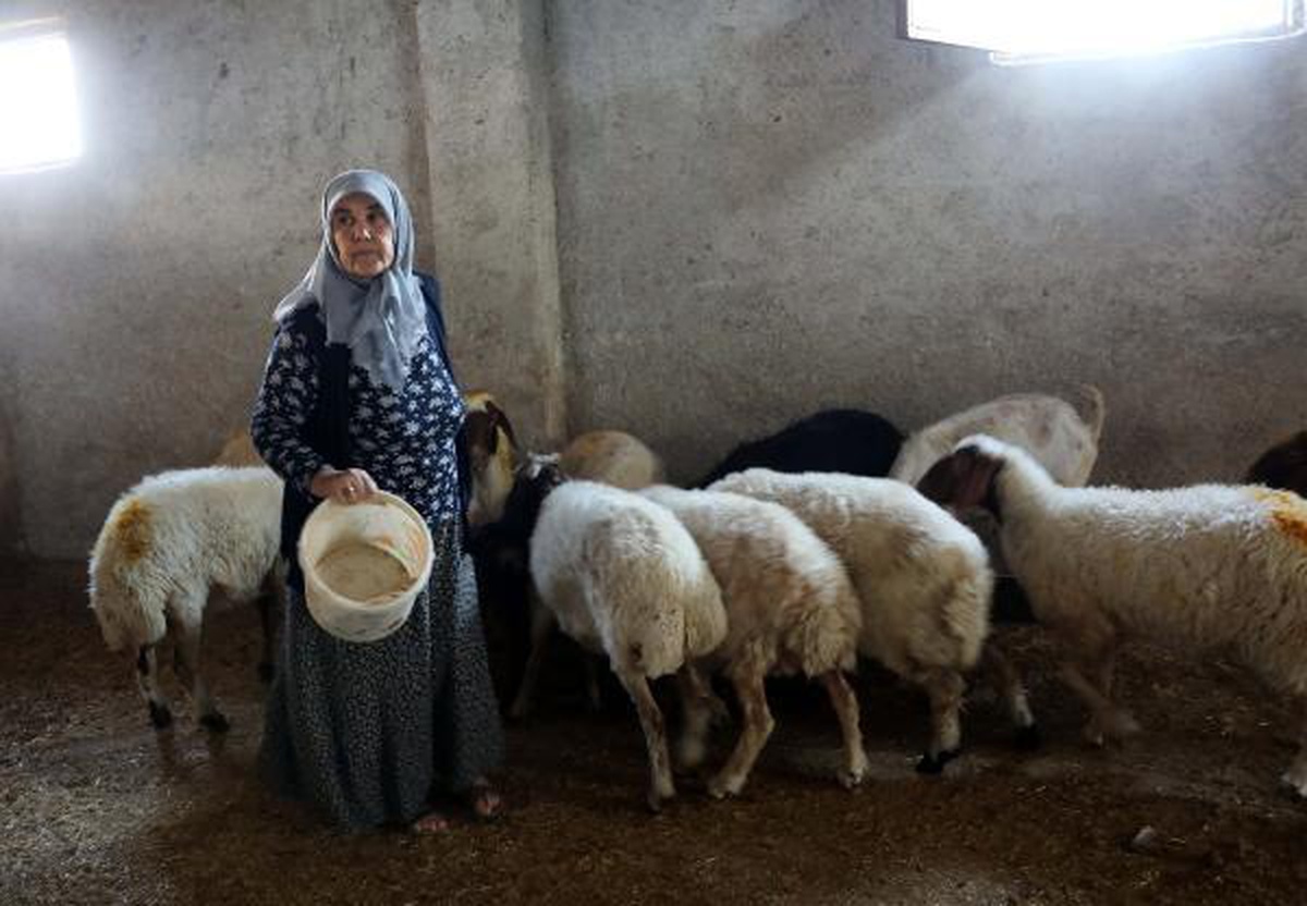 Completed the farm after the death of husband despite the prejudice