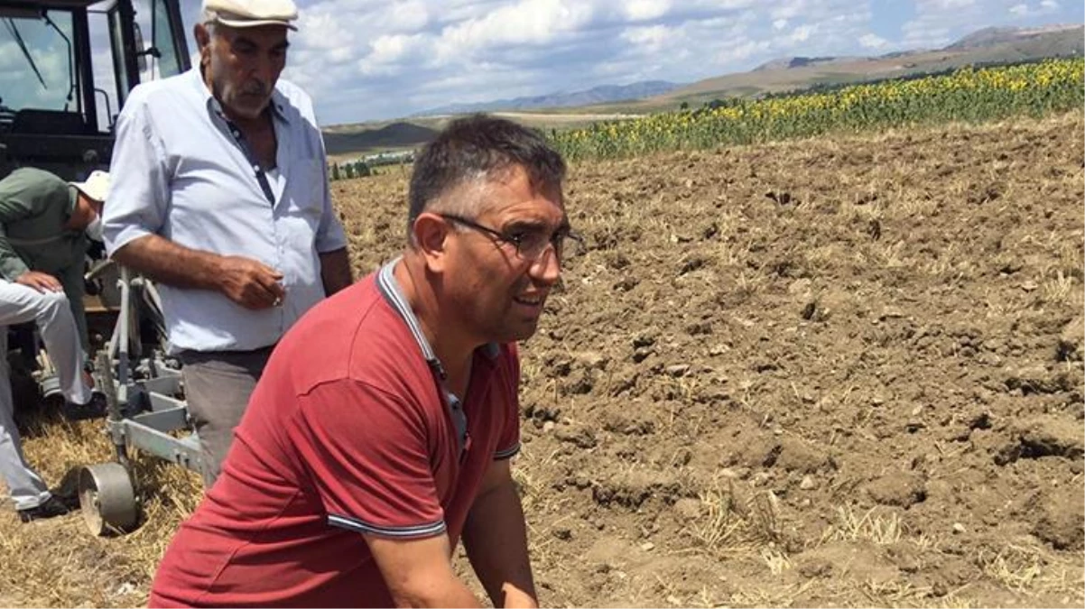 Çiftçinin tarlasından çıkanlar ekipleri harekete geçirdi! Hangi döneme ait oldukları araştırılacak