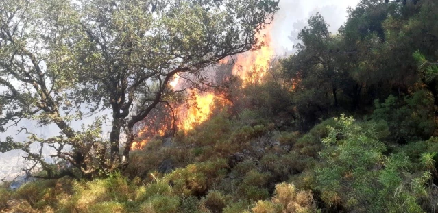 Son dakika haberi... Fethiye'deki orman yangını büyümeden söndürüldü