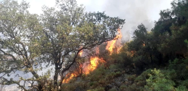 Son dakika haberi... Fethiye'deki orman yangını büyümeden söndürüldü