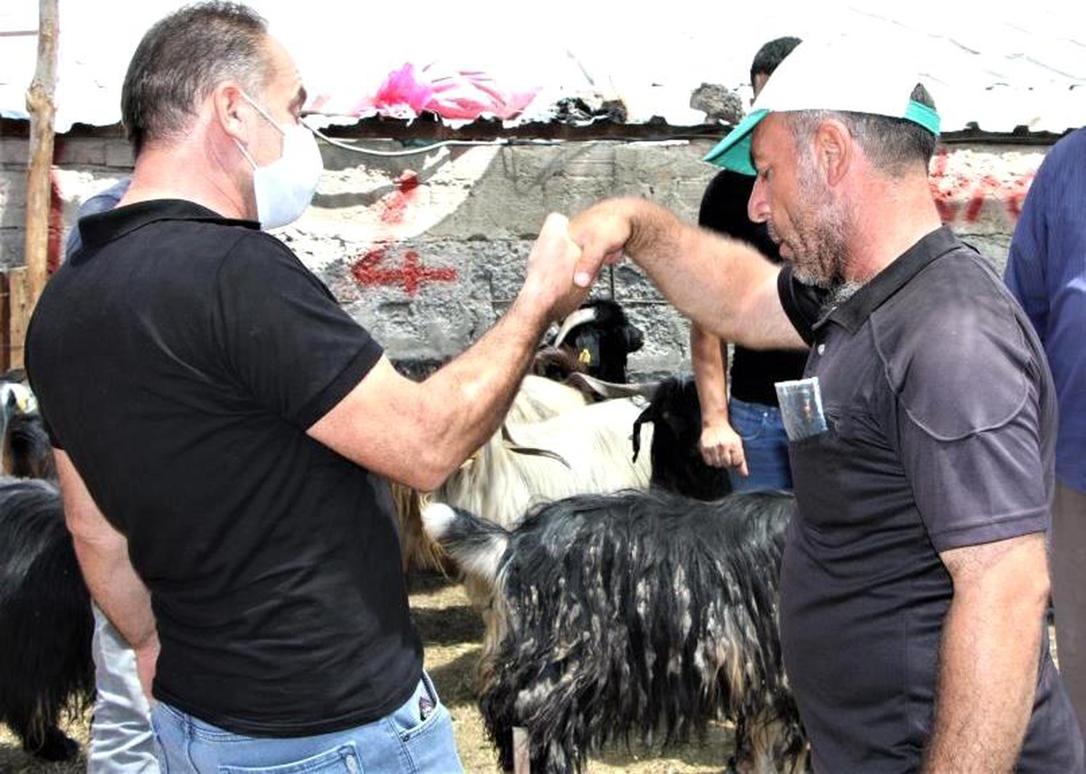 Kurban pazarlığında tokalaşma yapılmayacak
