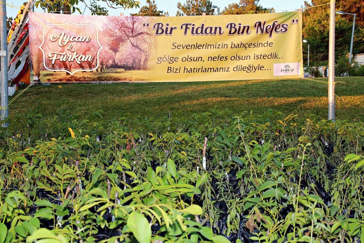 Lüleburgaz\'da düğün davetlilerine fidan hediye edildi
