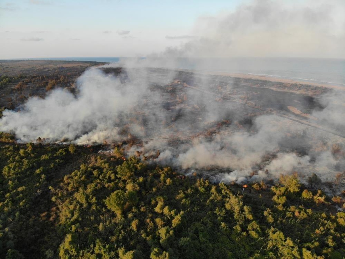 Samsun ormanlarında çıkan 22 yangında 21,28 ha örtü zarar gördü