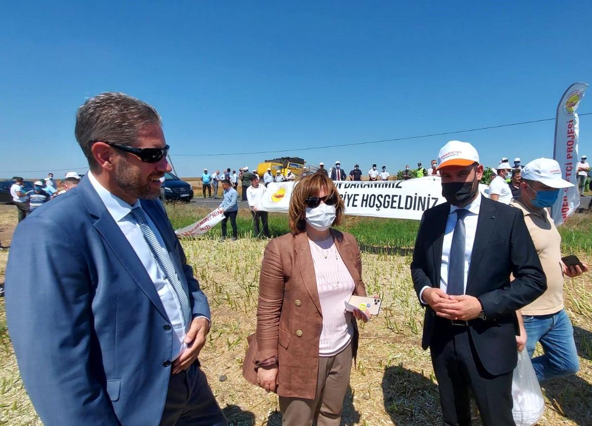TARSİM, Tekirdağ ilinde kanola ve buğday hasadına katıldı