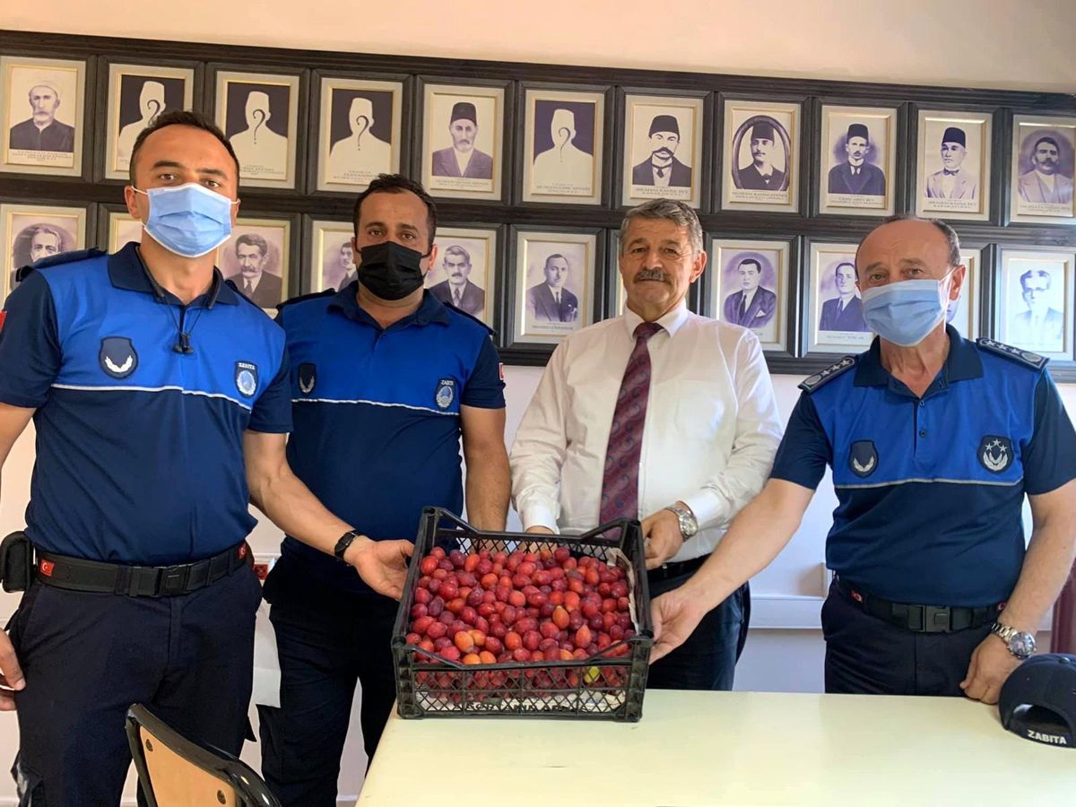 Belediyeye gönderdiği mektupla mürdüm eriği istedi