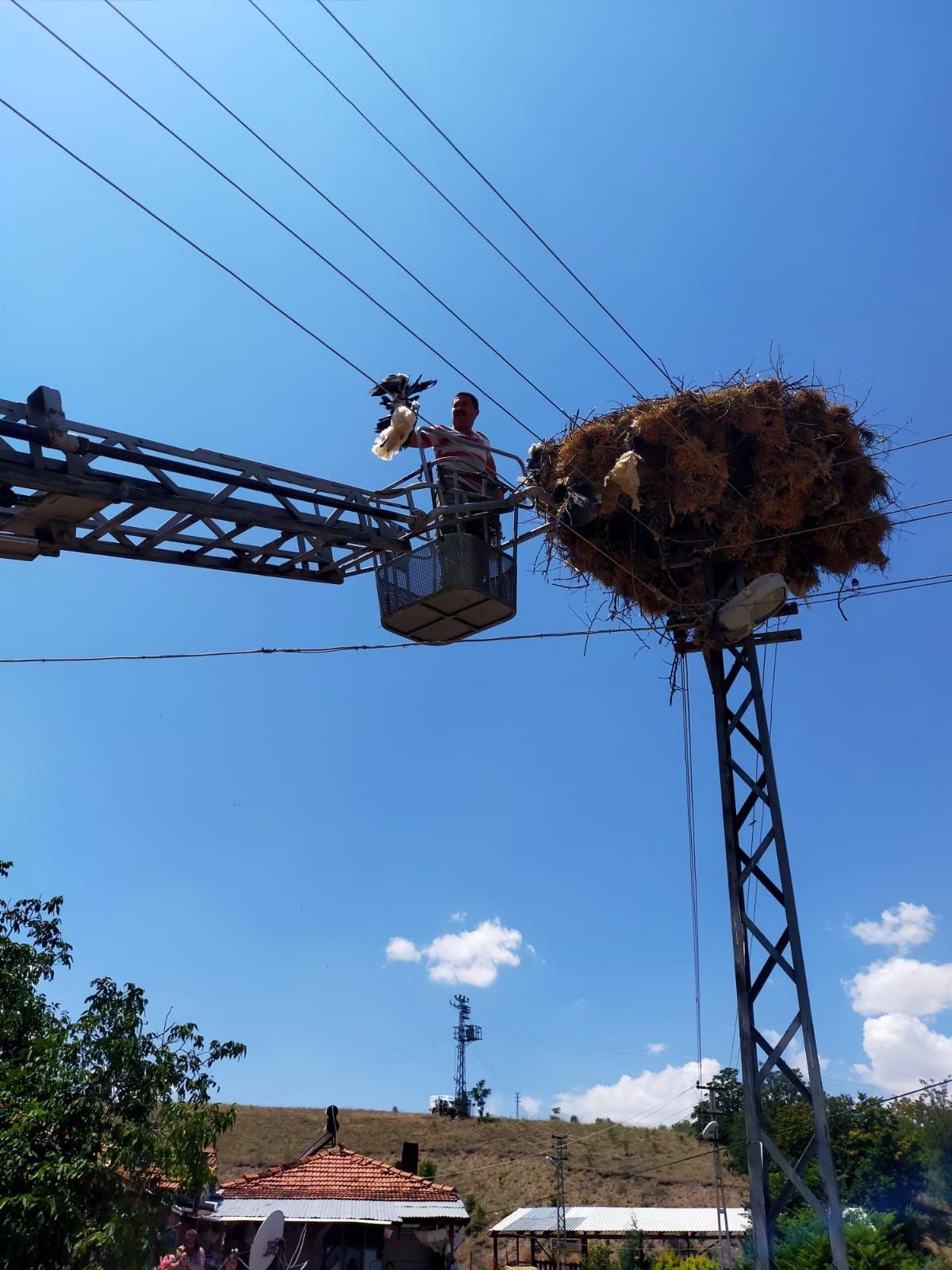 Çankırı\'da elektrik tellerine takılan leylek yavrusu kurtarıldı