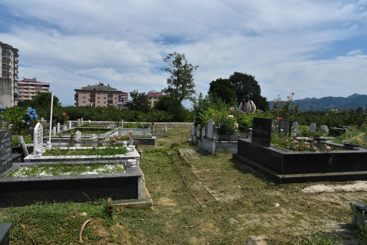 Espiye Belediyesi mezarlıklarda çevre düzenleme çalışması gerçekleştirdi
