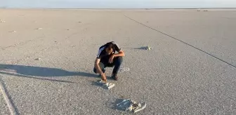 Flamingo cenneti Tuz Gölü'nde flamingo ölümleri