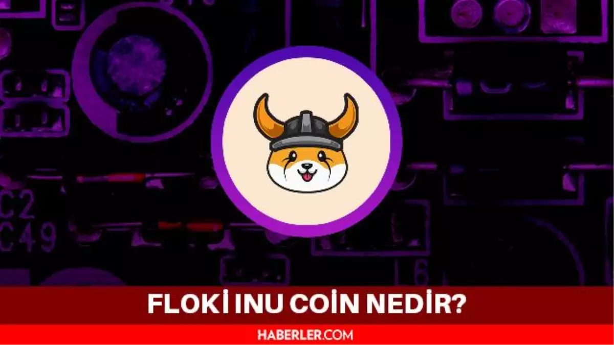 Floki Inu (FLOKI) coin nedir? Güncel Floki Inu (FLOKI) coin yorum ve grafiği