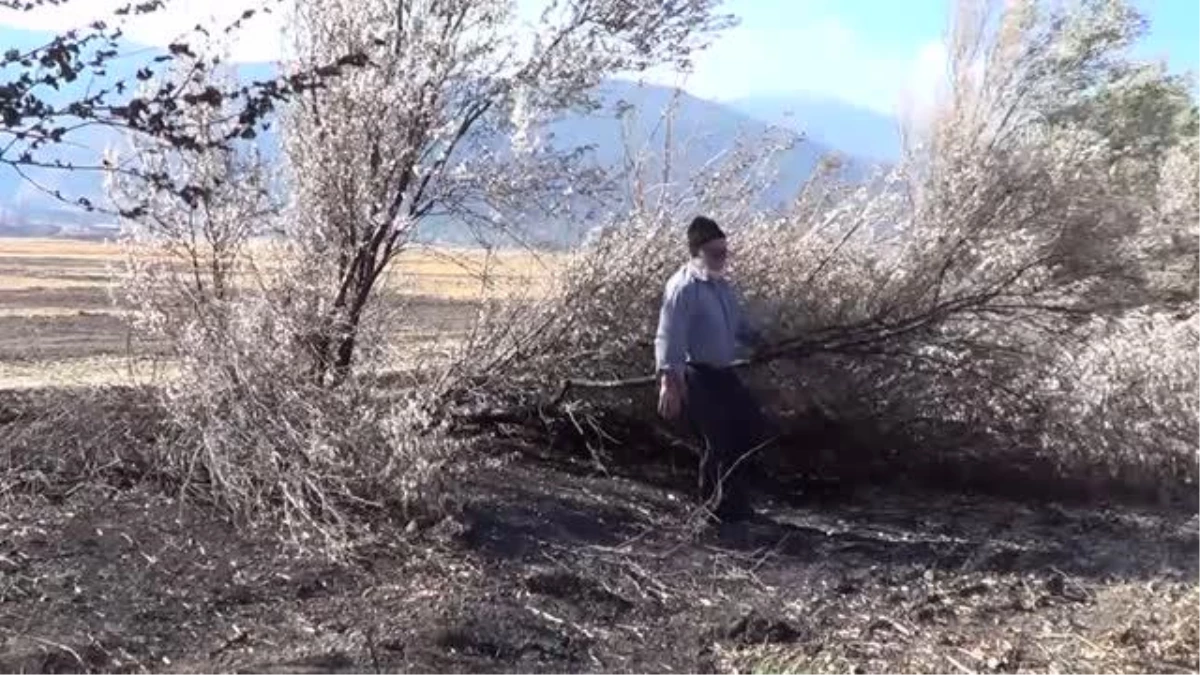 Son dakika haberleri: GAZİANTEP - Anız yangını ekili alanlara da zarar veriyor
