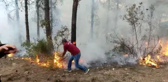 Son dakika haberi | Orman kahramanları çalılarla yangının büyümesini engelledi
