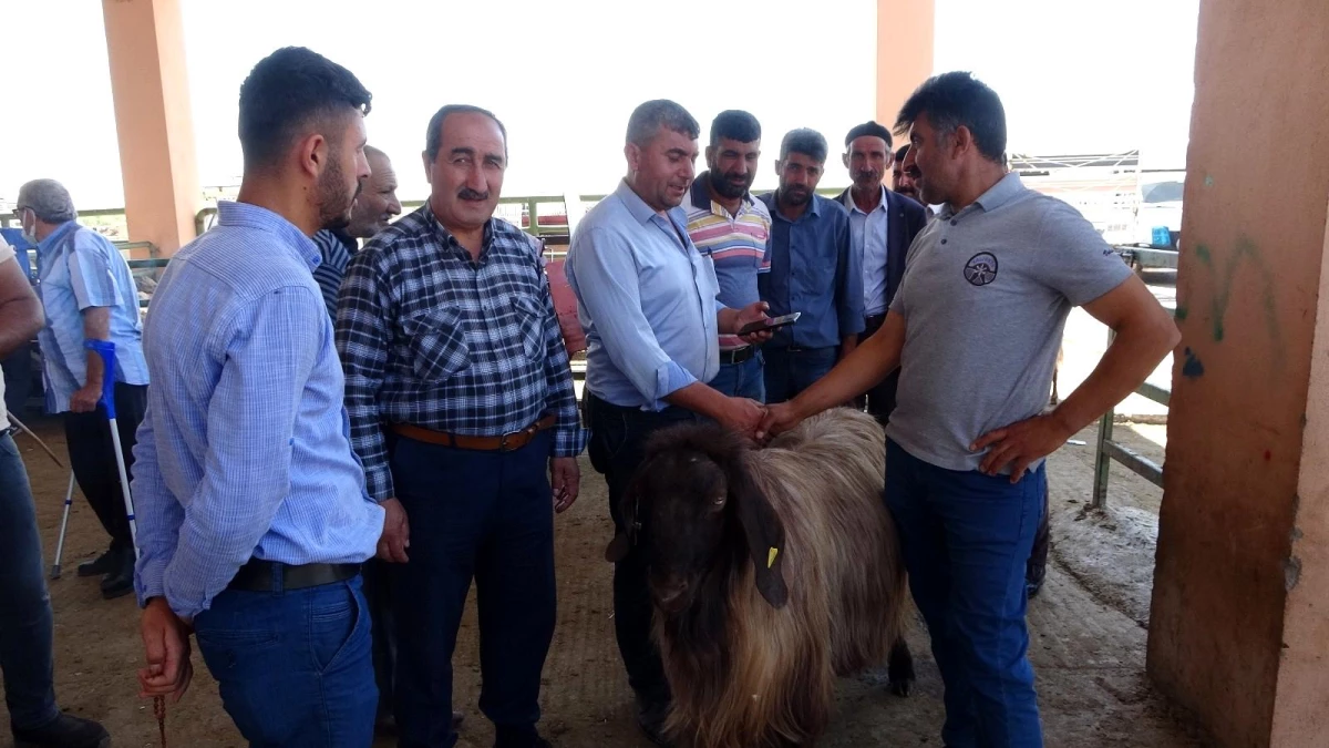 Pazarlıkta tokalaşma dönemi yeniden başladı