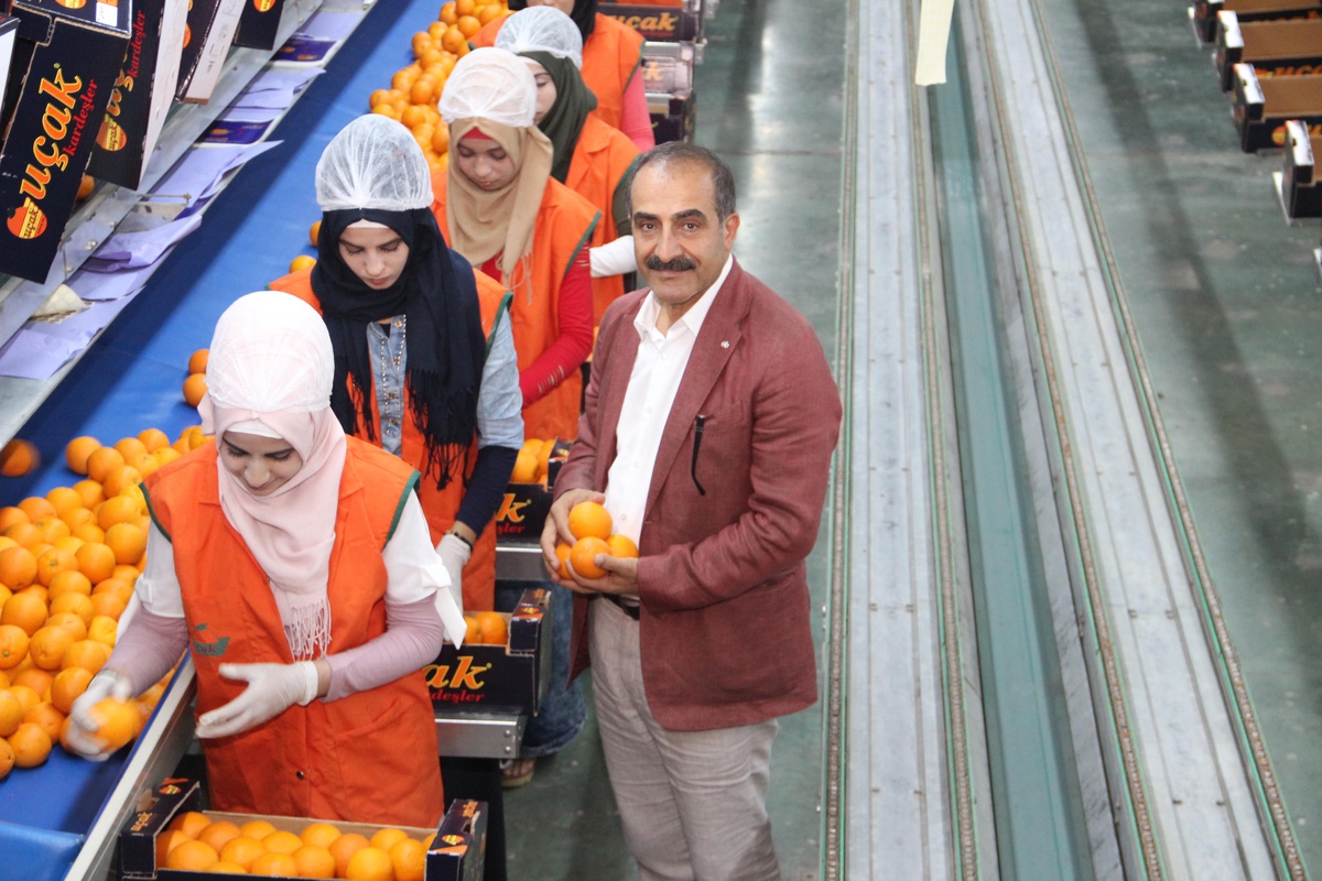 Yaş meyve sebze ve meyve sebze mamulleri sektörü 509 milyon doları Türkiye\'ye kazandırdı