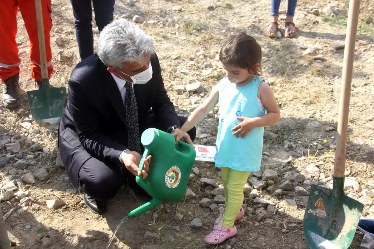 3 yaşındaki şehit yeğeni, dayısı için fidan dikti