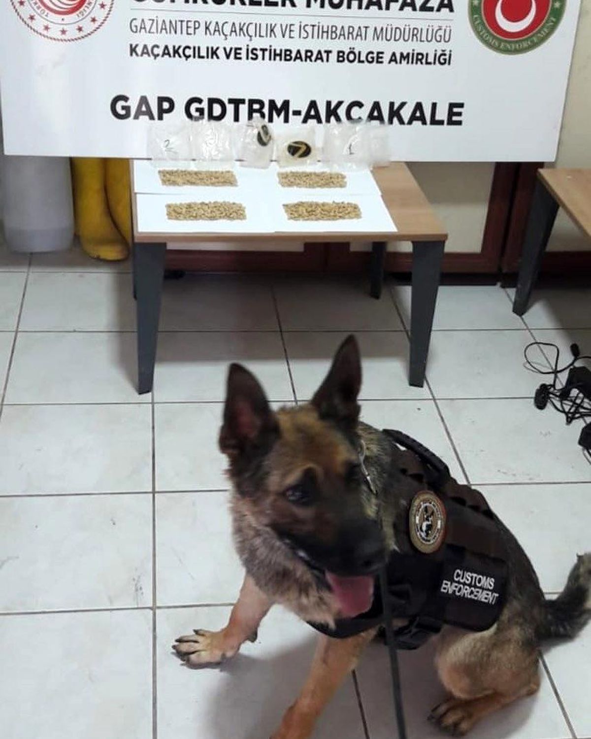 Akçakale\'de bin 606 adet uyuşturucu hap ele geçirildi