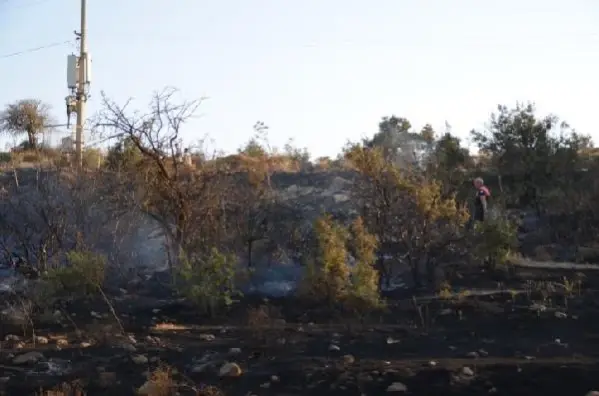 Son Dakika Haberi Mugla Bodrum Da Kimyasal Uretim Fabrikasi Yakinindaki Yanginda Faciadan Donuldu Son Dakika